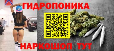 apvp Лесосибирск
