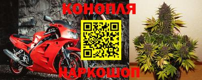 apvp Лесосибирск