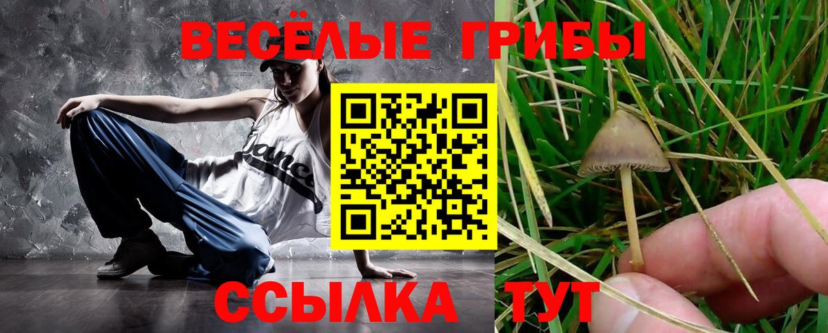Галлюциногенные грибы MAGIC MUSHROOMS Знаменск