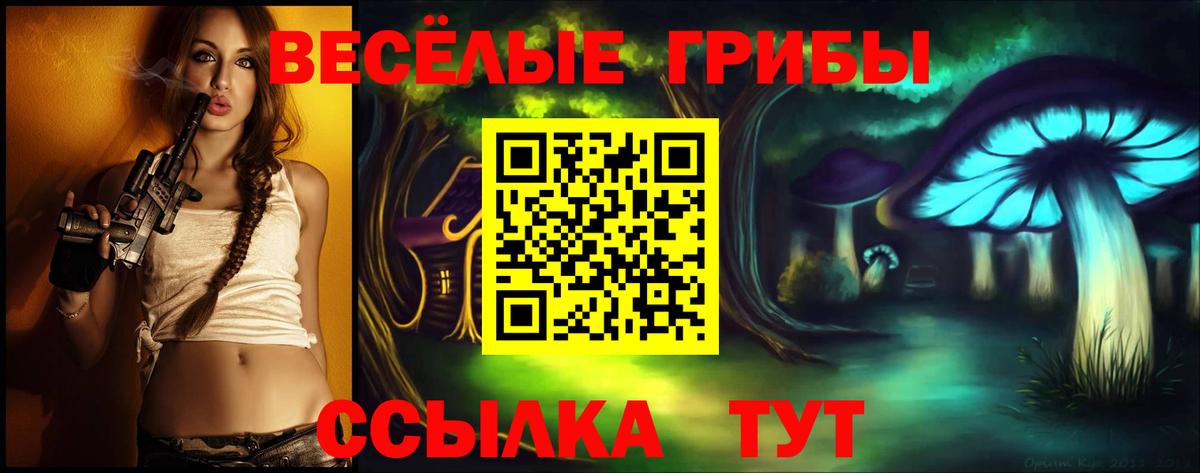 Галлюциногенные грибы Magic Shrooms  Вход с VPN  Знаменск 
